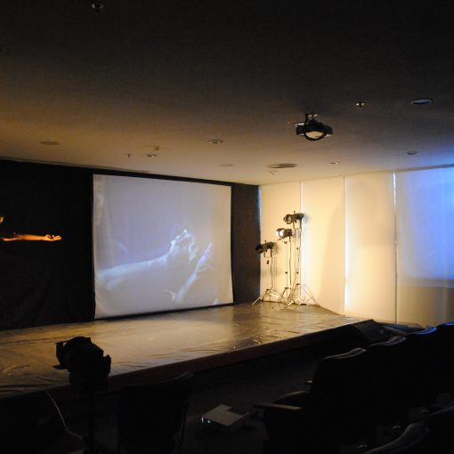 Telematic Music and Dance